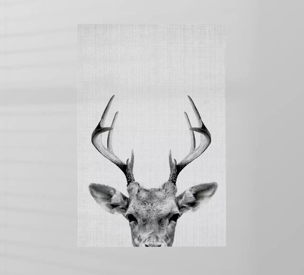 Print 38 pellicola backlit da Lila & Lola