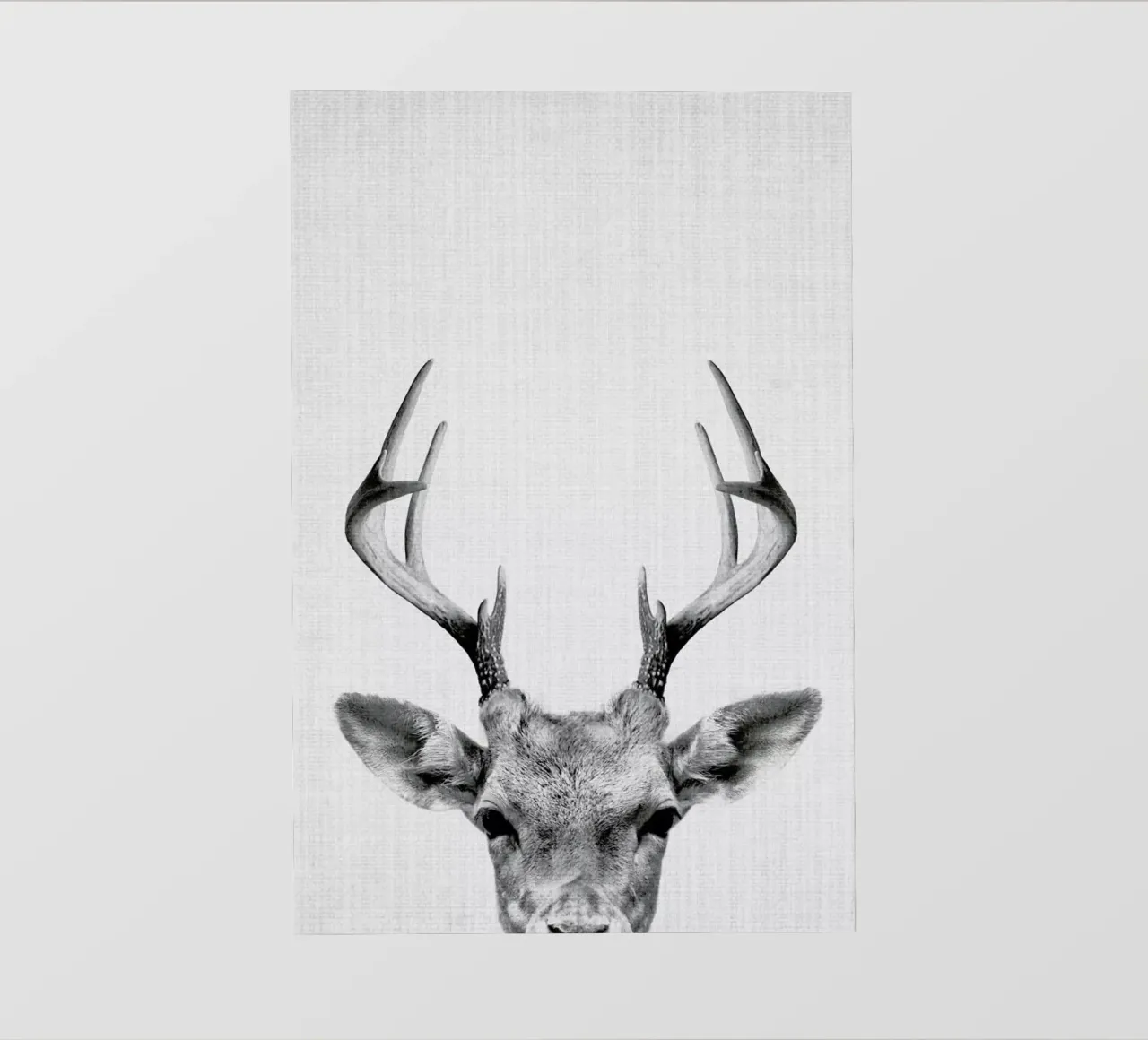 Print 38 pellicola backlit da Lila & Lola