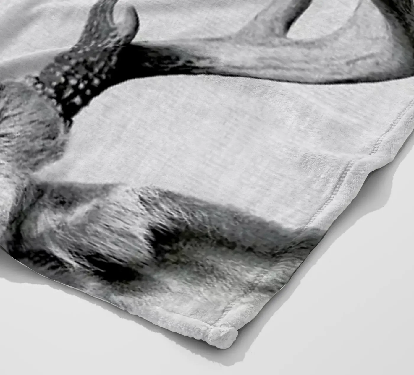 Print 38 Fleecedecke von Lila & Lola