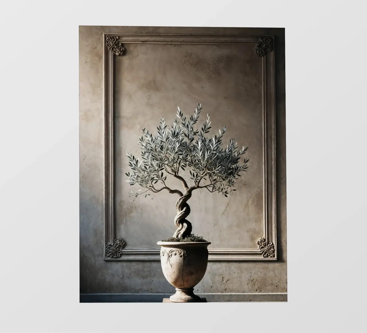 Olive Branch in pot backlit film by VintageBotanics