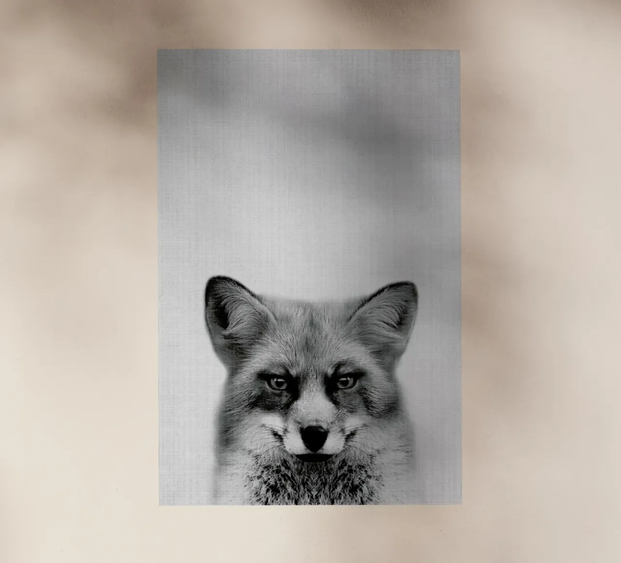 Print 47 pellicola backlit da Lila & Lola