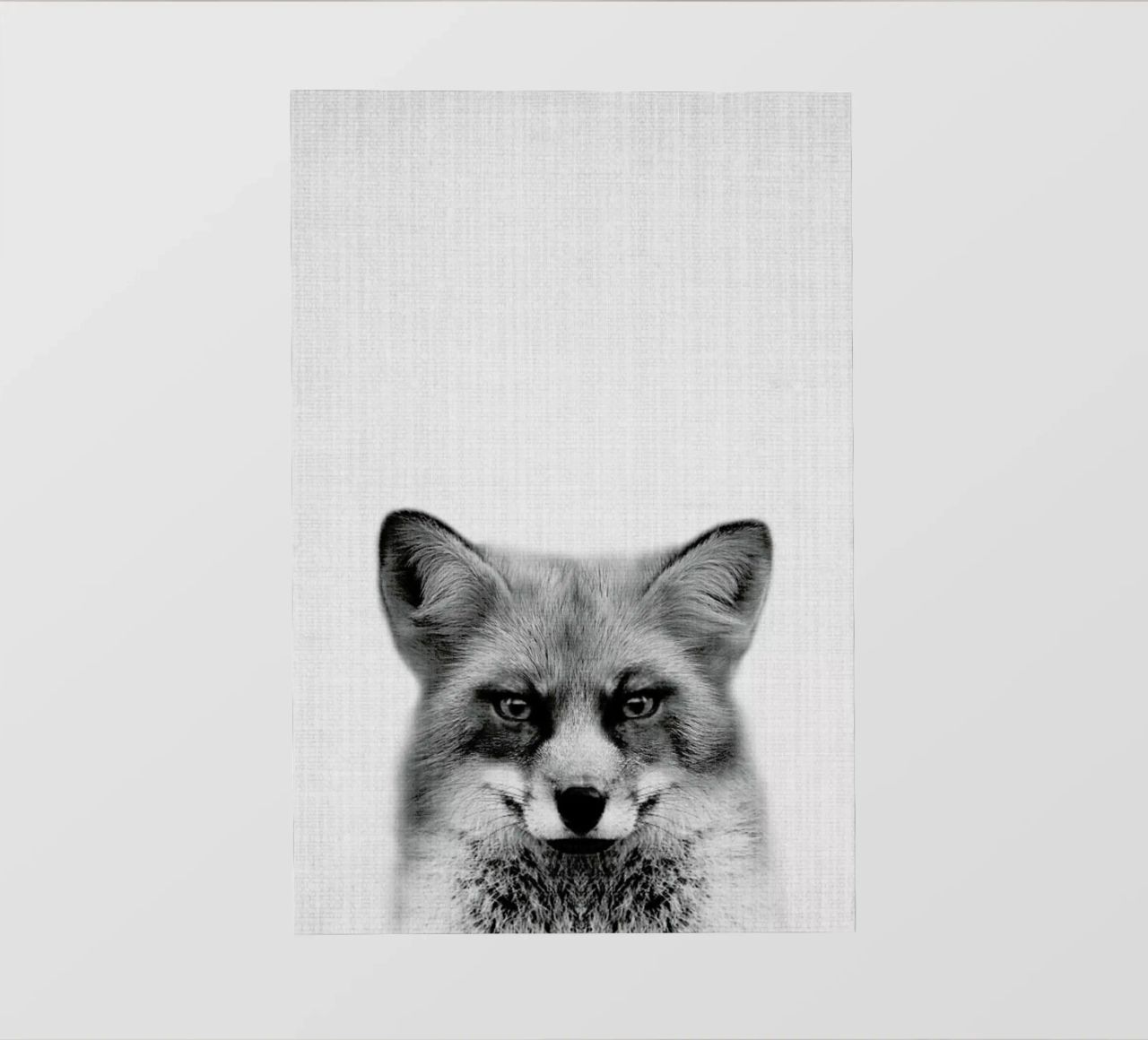 Print 47 pellicola backlit da Lila x Lola