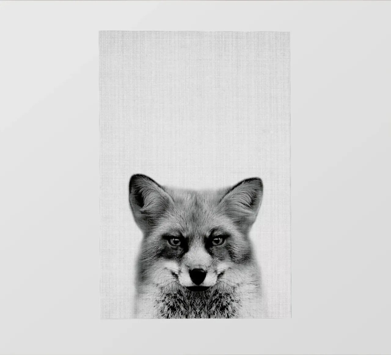 Print 47 pellicola backlit da Lila & Lola