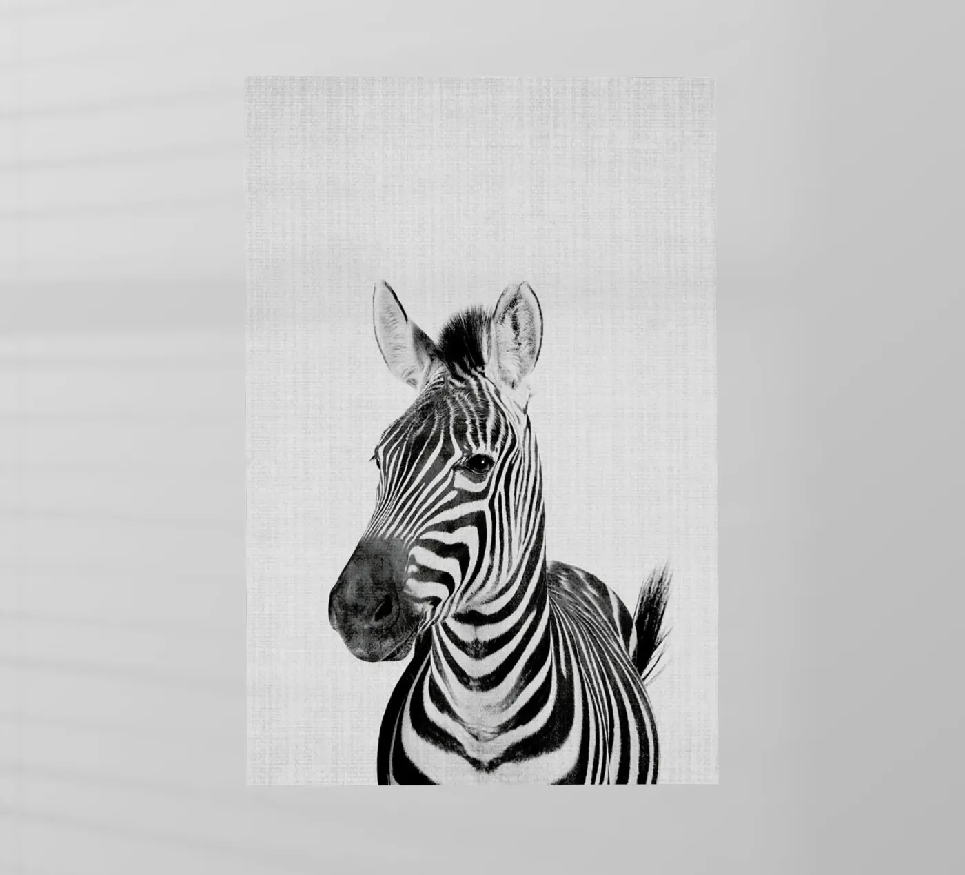 Print 49 pellicola backlit da Lila & Lola