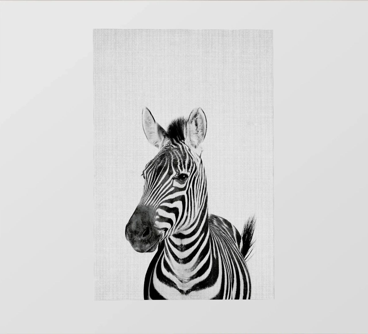 Print 49 pellicola backlit da Lila x Lola