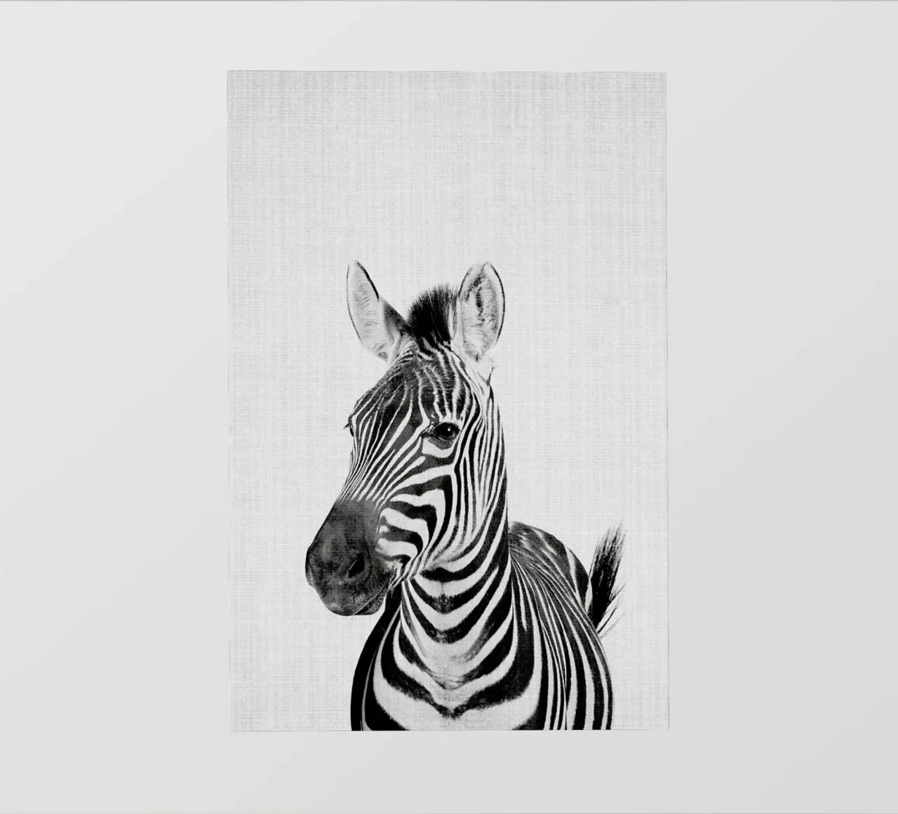 Print 49 pellicola backlit da Lila x Lola