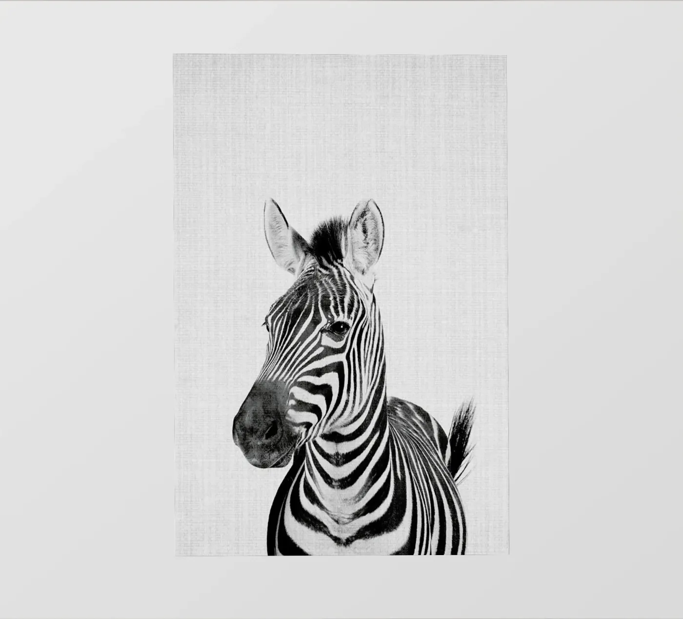 Print 49 pellicola backlit da Lila & Lola