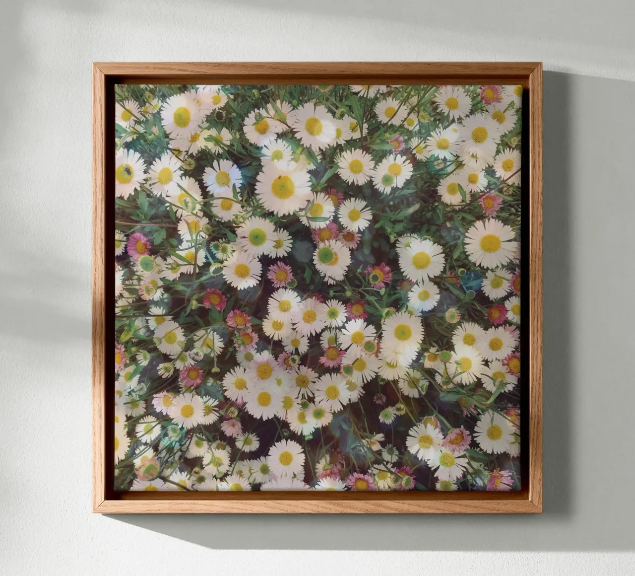 Madeliefjestuin canvas met Baklijst van Cassia Beck Photography