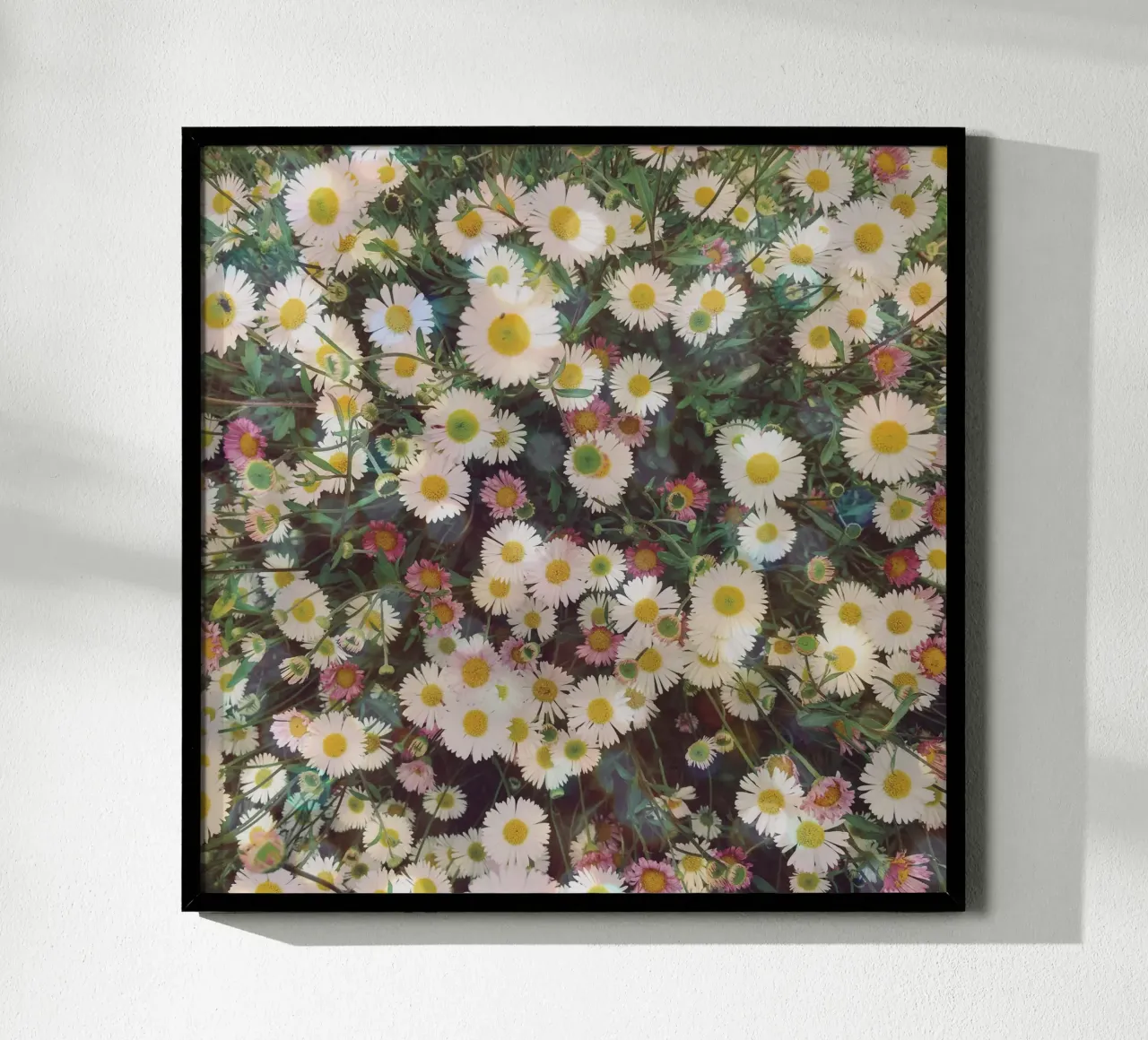 Giardino delle margherite poster con telaio in plastica da Cassia Beck Photography
