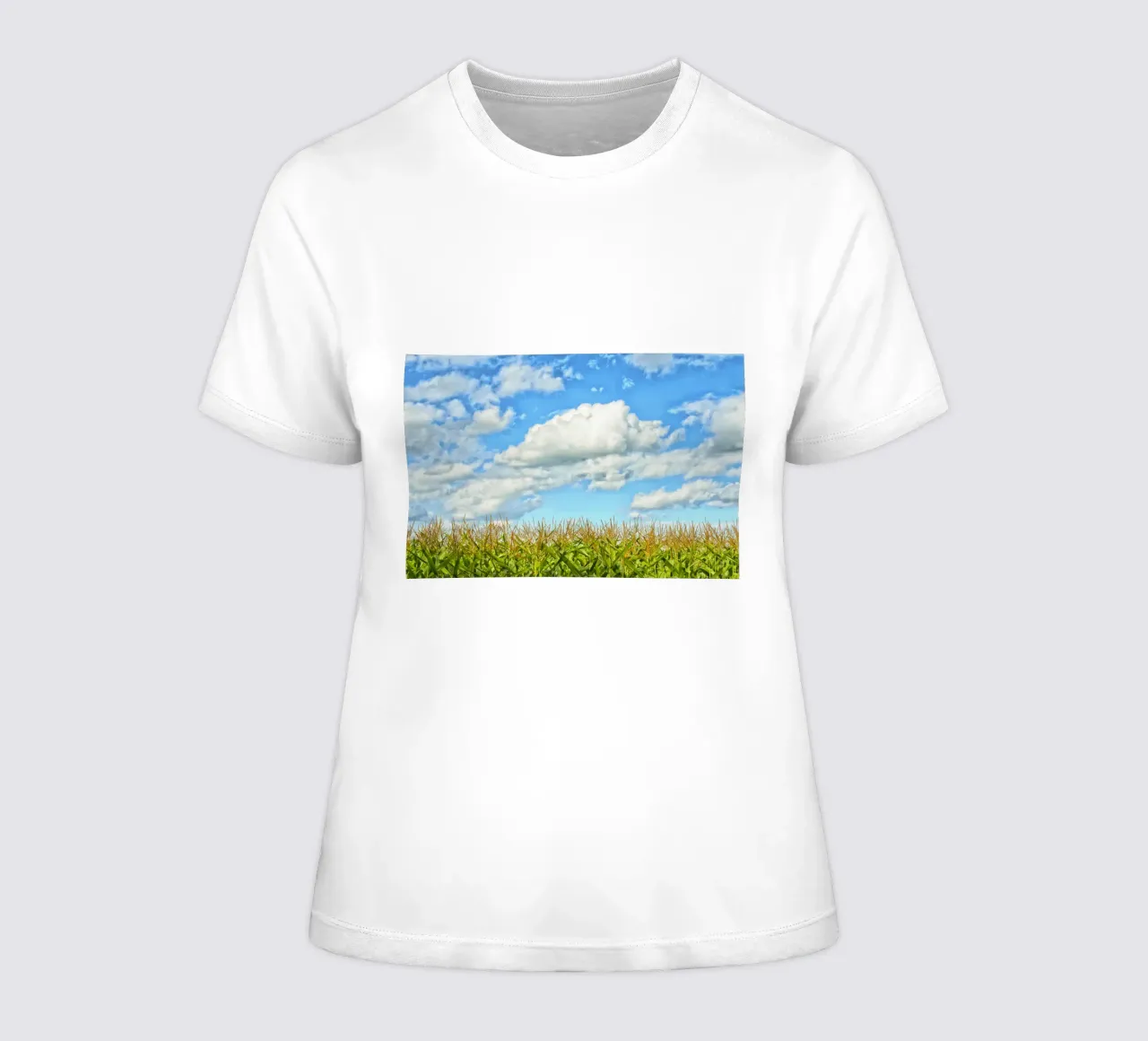 Cornfield Dreams – Where Earth Meets Sky women's fitted t-shirt by Curious Collections by Marielle Leenders