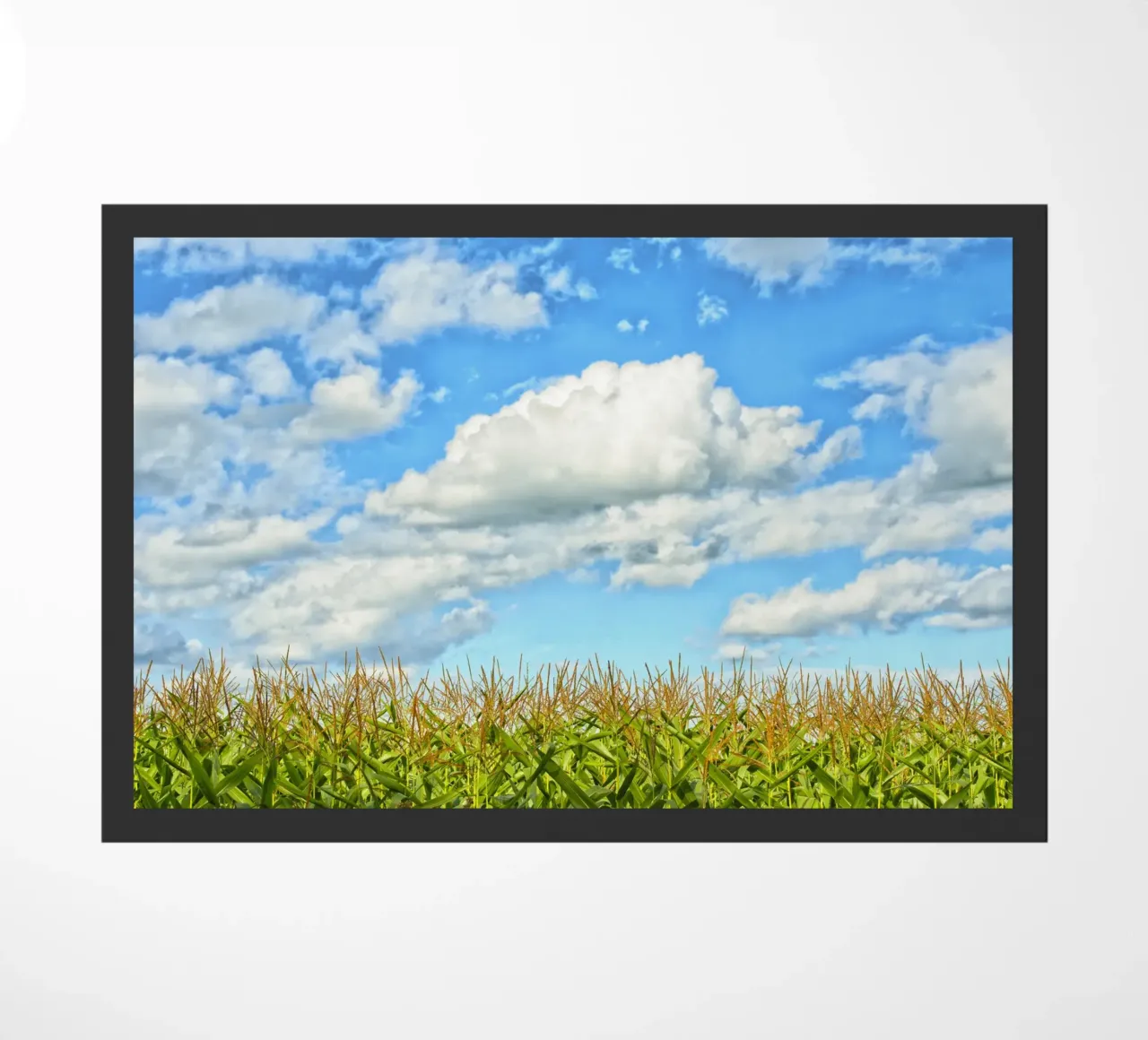 Cornfield Dreams – Where Earth Meets Sky zerbino da Curious Collections by Marielle Leenders