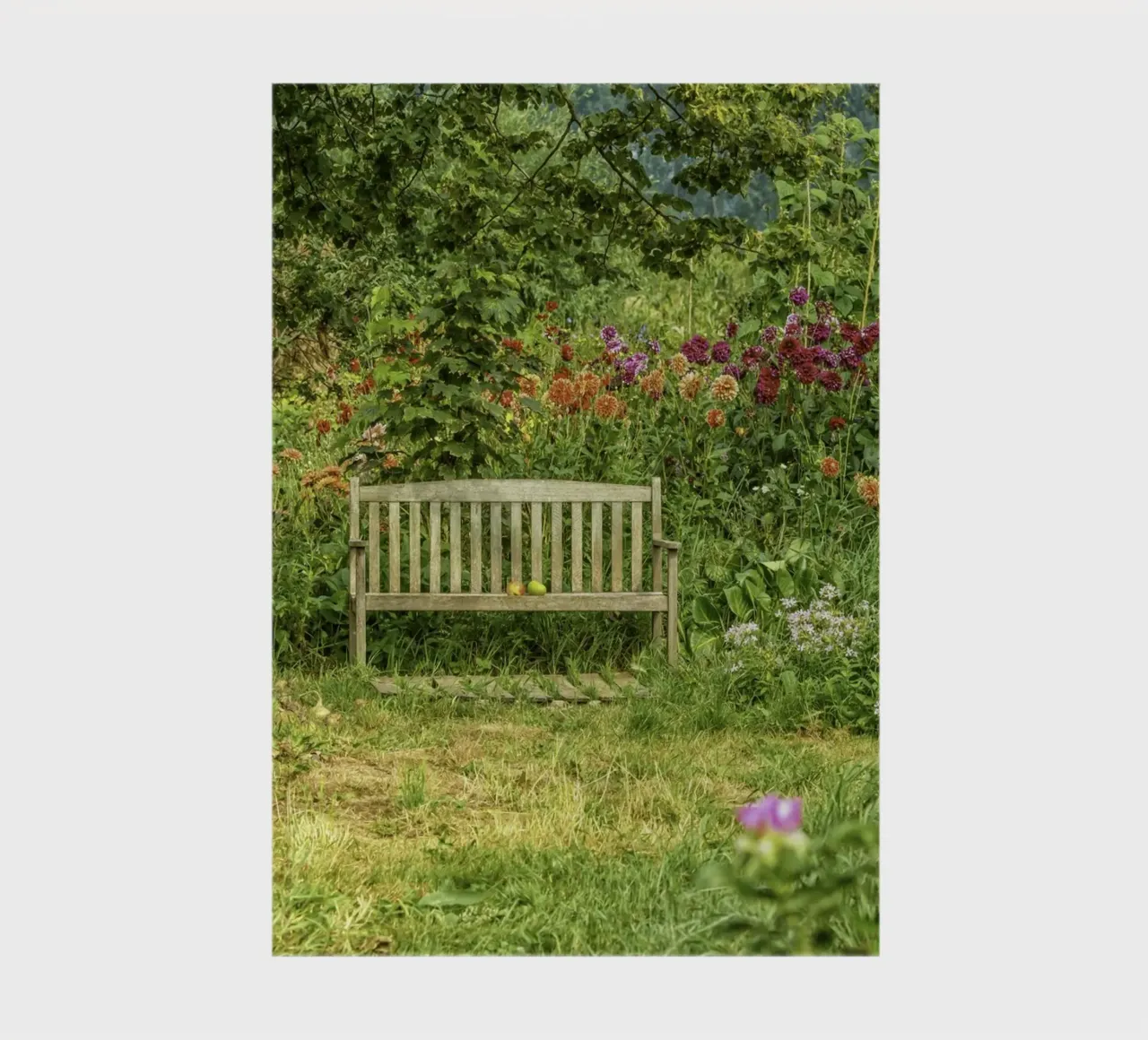 Bench nestled within a vibrant flower garden notebook by Curious Collections by Marielle Leenders