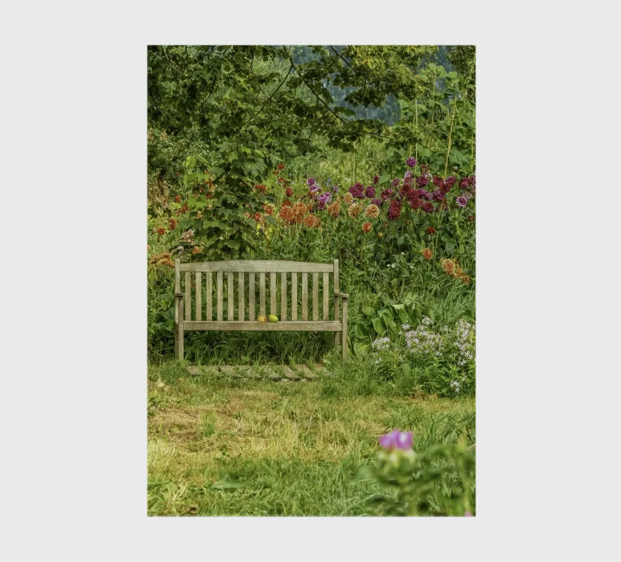 Bench nestled within a vibrant flower garden notebook by Curious Collections by Marielle Leenders