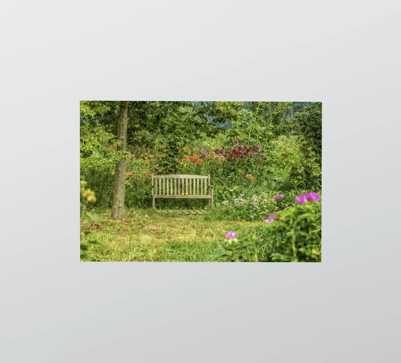 Bench nestled within a vibrant flower garden adesivo da Curious Collections by Marielle Leenders