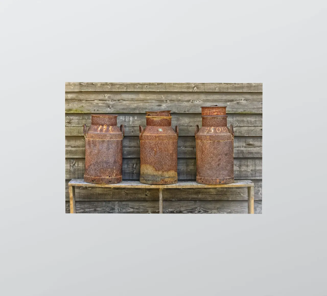 Vintage Farm Charm - Three Rusty Milk Cans in a Row adesivo da Curious Collections by Marielle Leenders