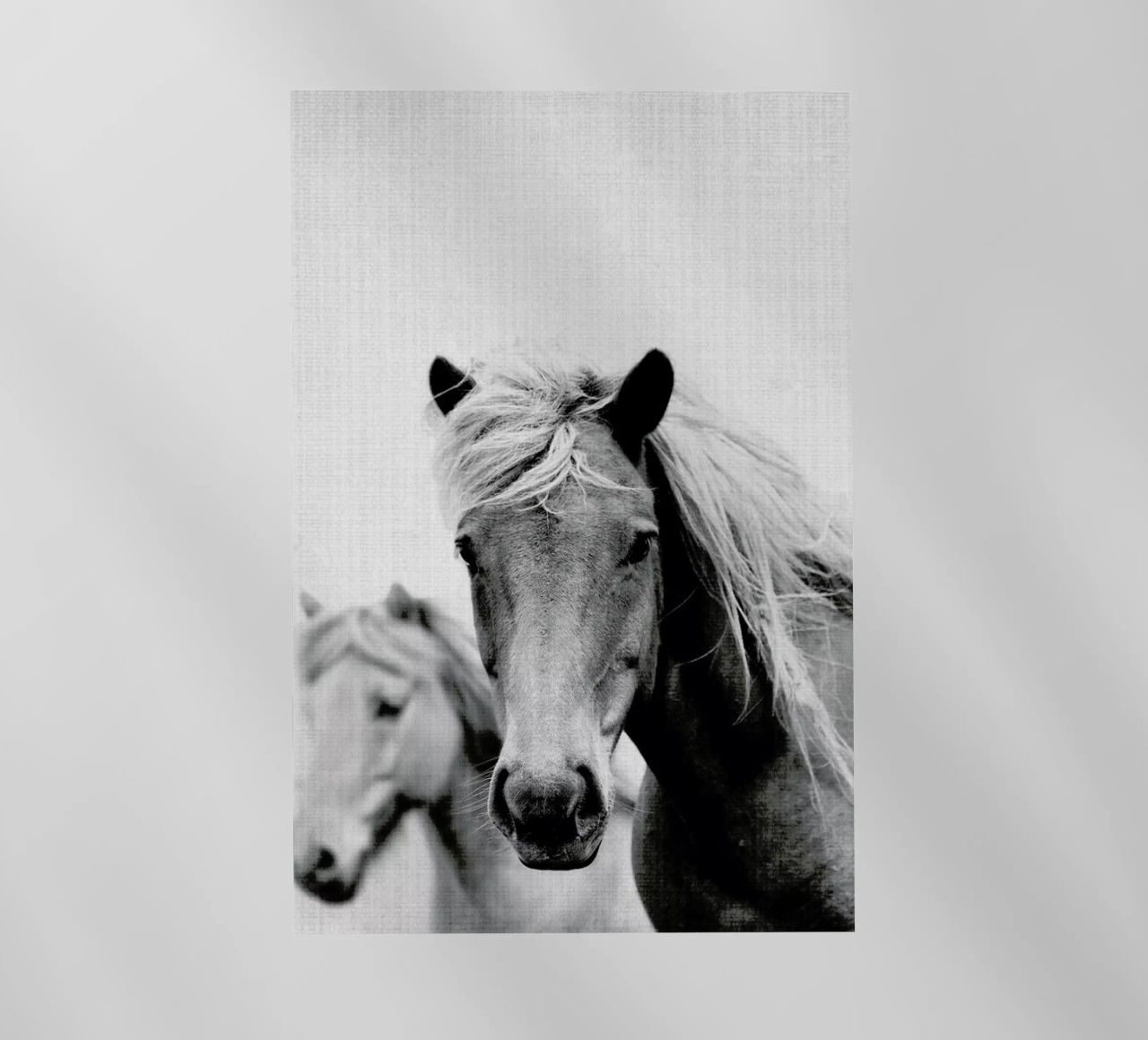 Print 180 pellicola backlit da Lila x Lola