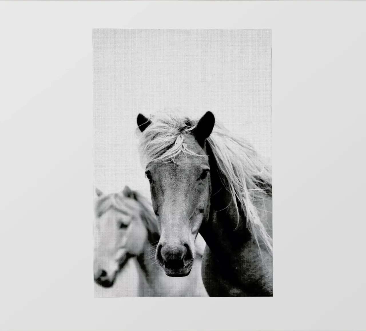Print 180 pellicola backlit da Lila x Lola