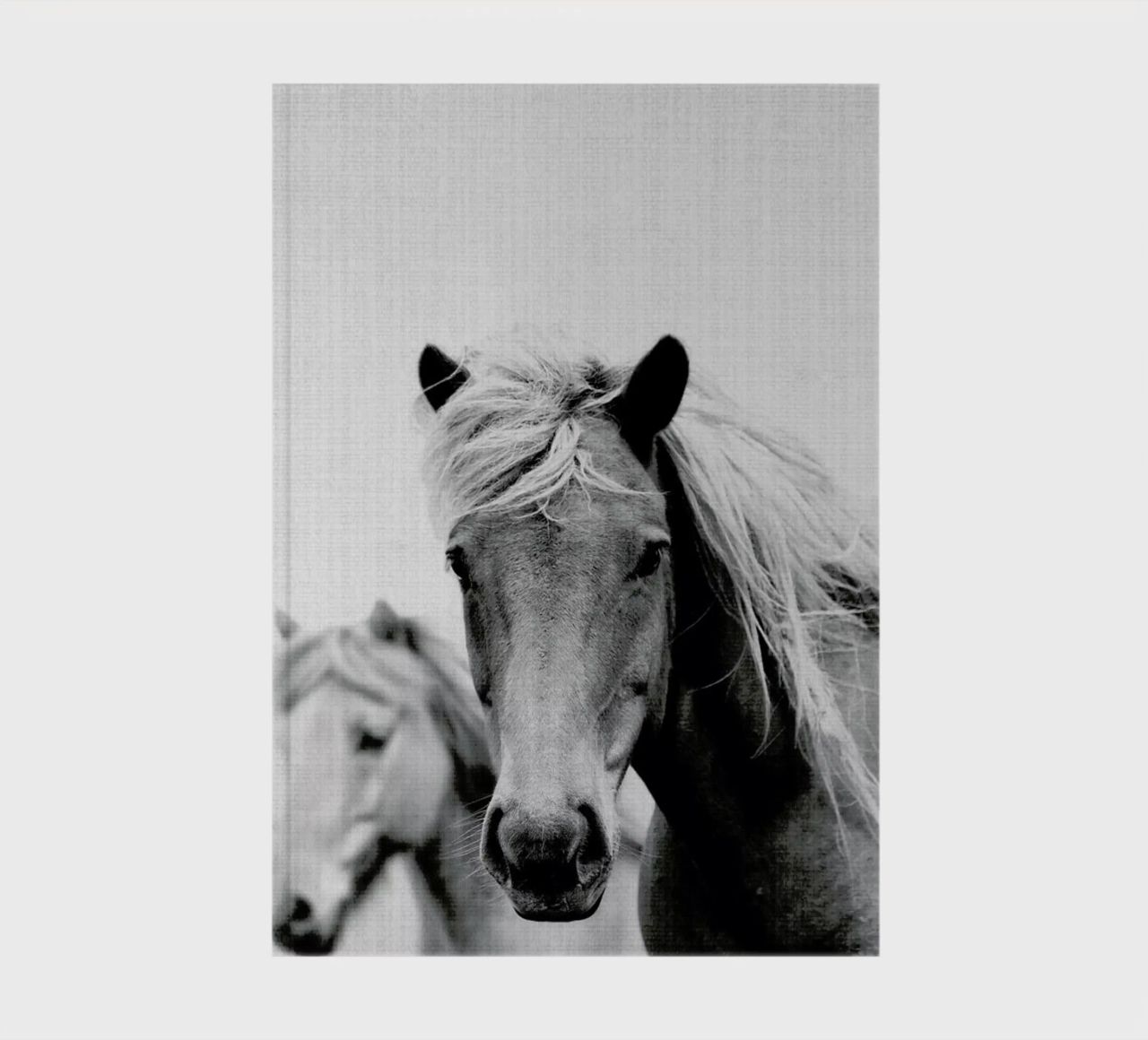Print 180 notebook by Lila x Lola