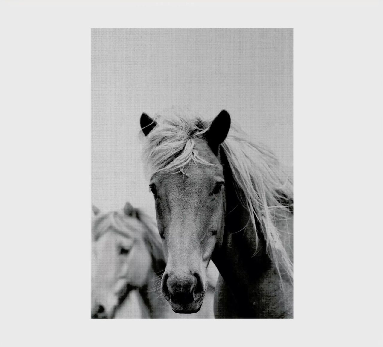 Print 180 notebook by Lila x Lola