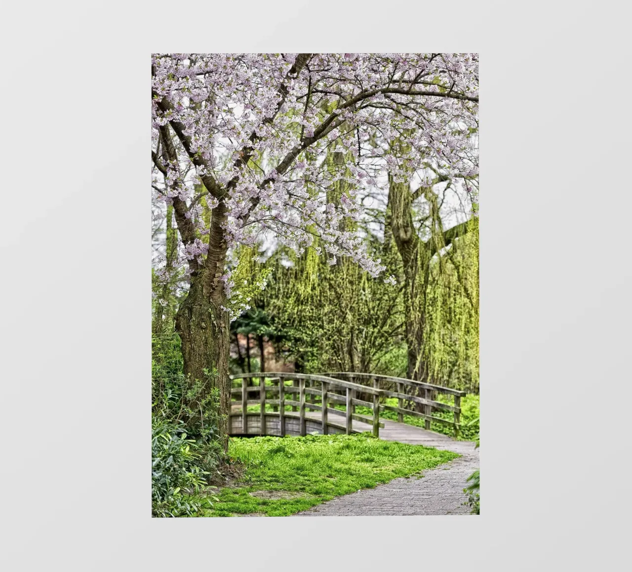 Pastel Pathway – Blossoms and Bridges in Harmony pellicola backlit da Curious Collections by Marielle Leenders