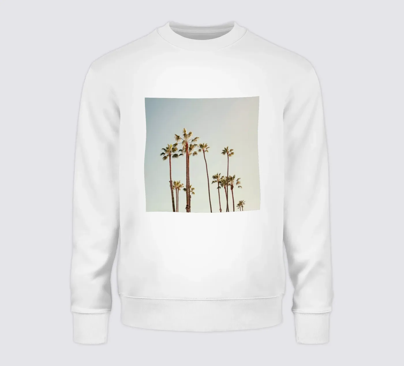 Palms felpa da Catherine McDonald