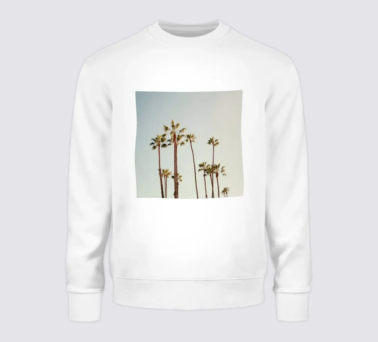 Palms felpa da Catherine McDonald