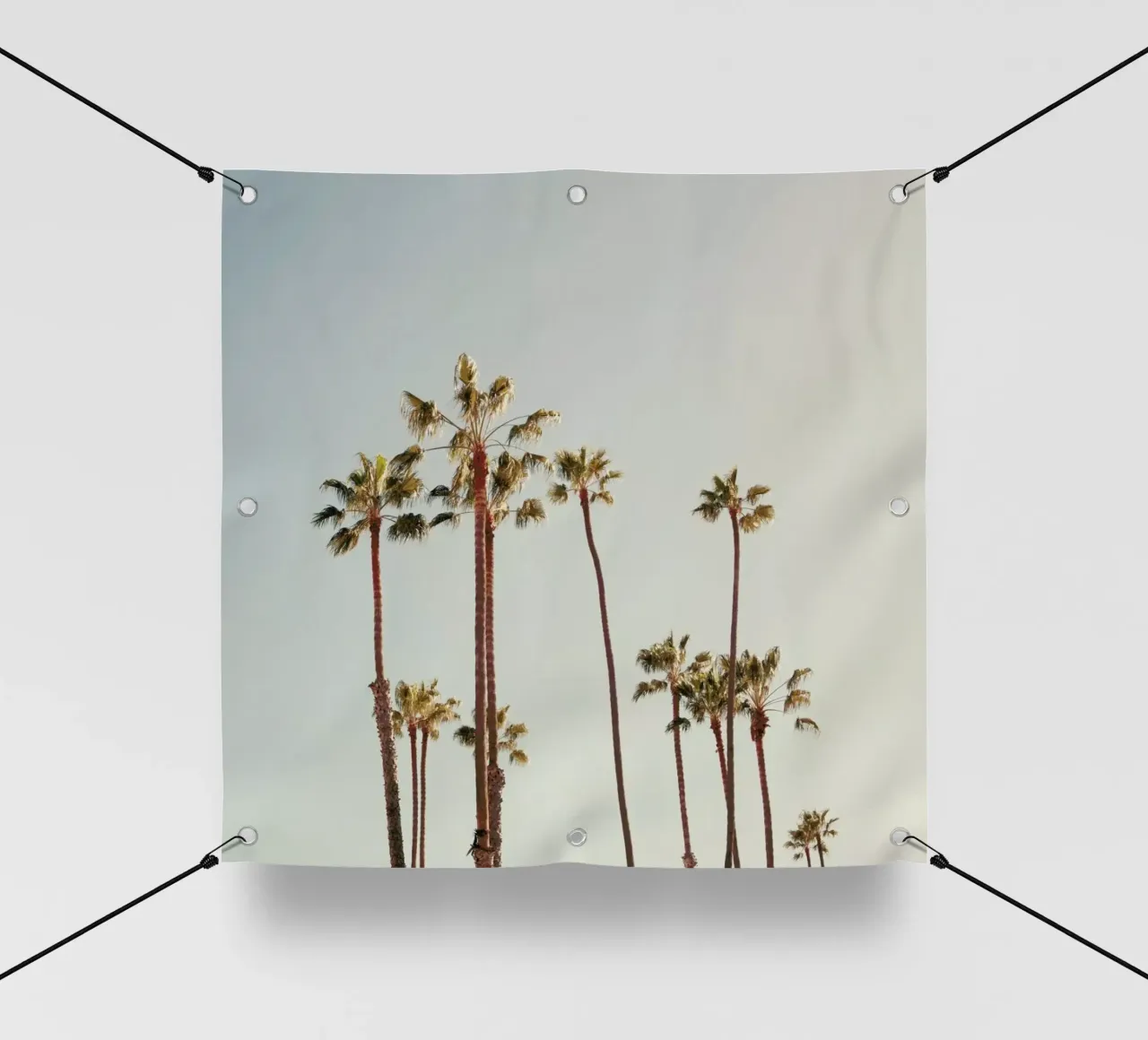 Palms telo in pvc da Catherine McDonald