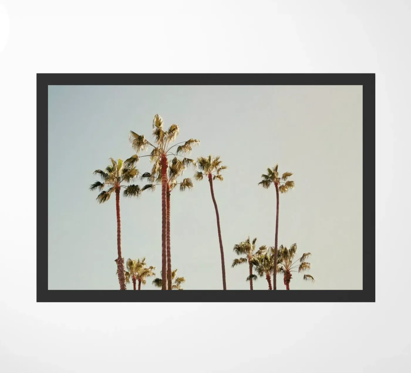 Palms Fußmatte von Catherine McDonald