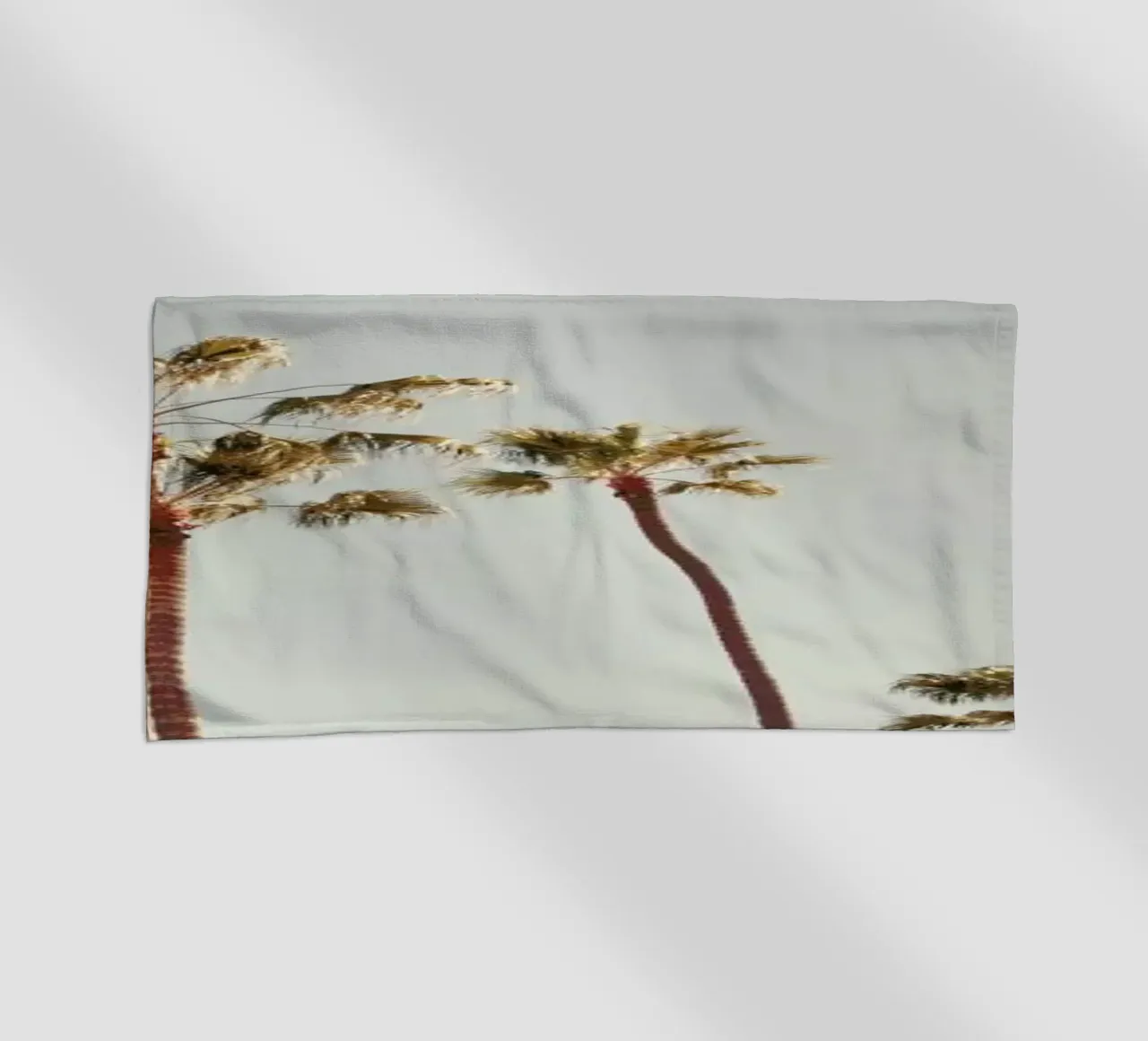 Palms telo mare da Catherine McDonald