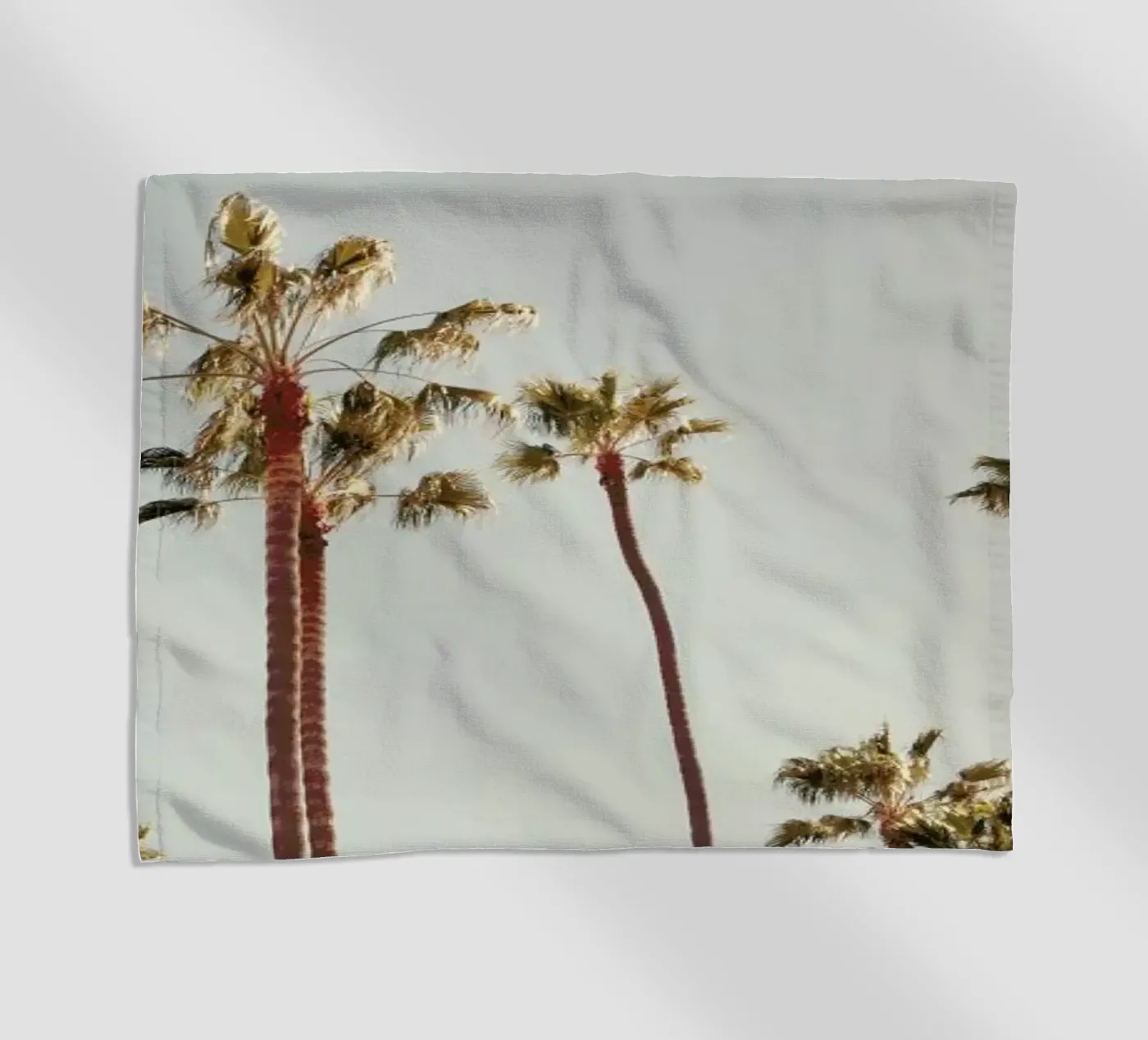 Palms telo mare da Catherine McDonald