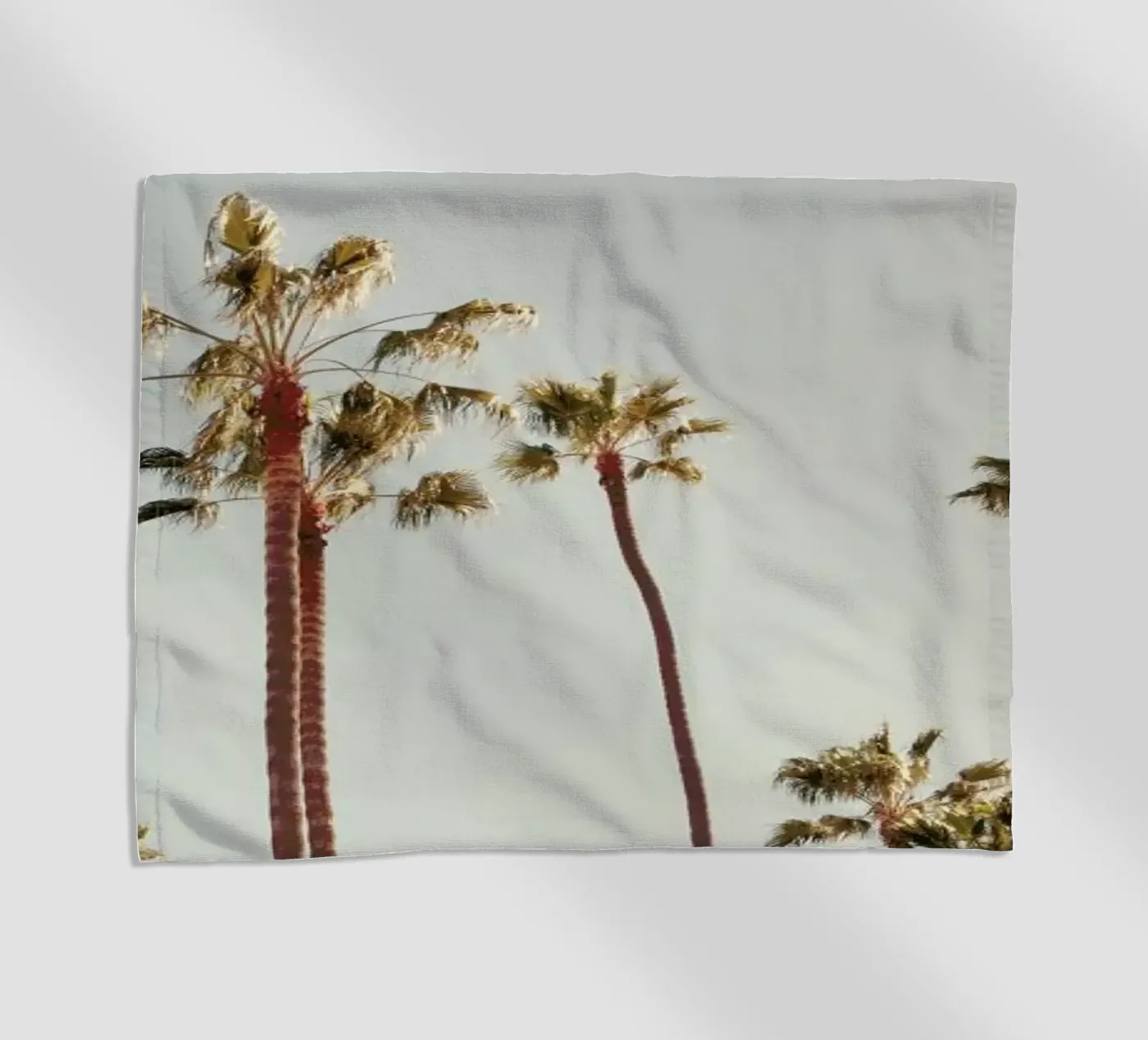 Palms Strandtuch von Catherine McDonald