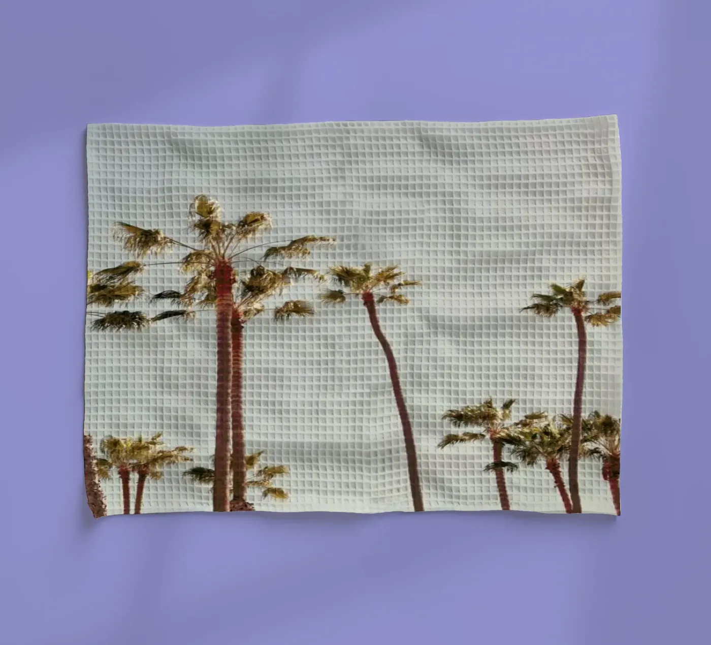 Palms torchon de Catherine McDonald