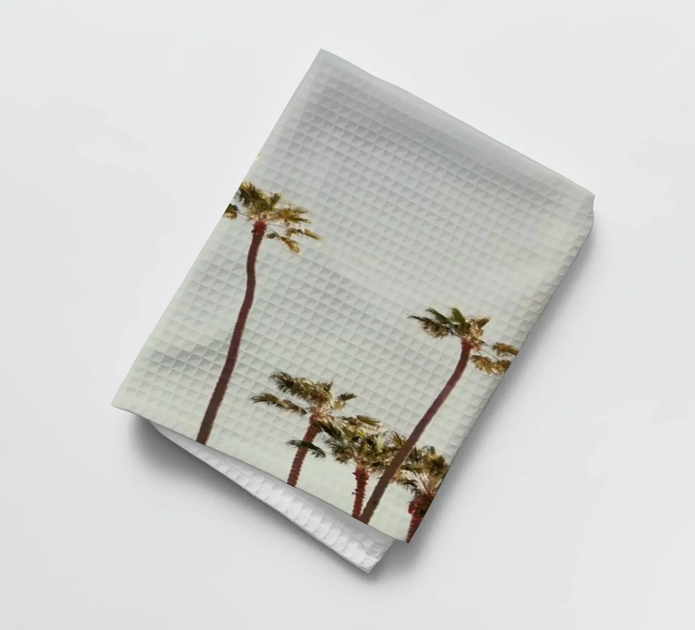 Palms torchon de Catherine McDonald