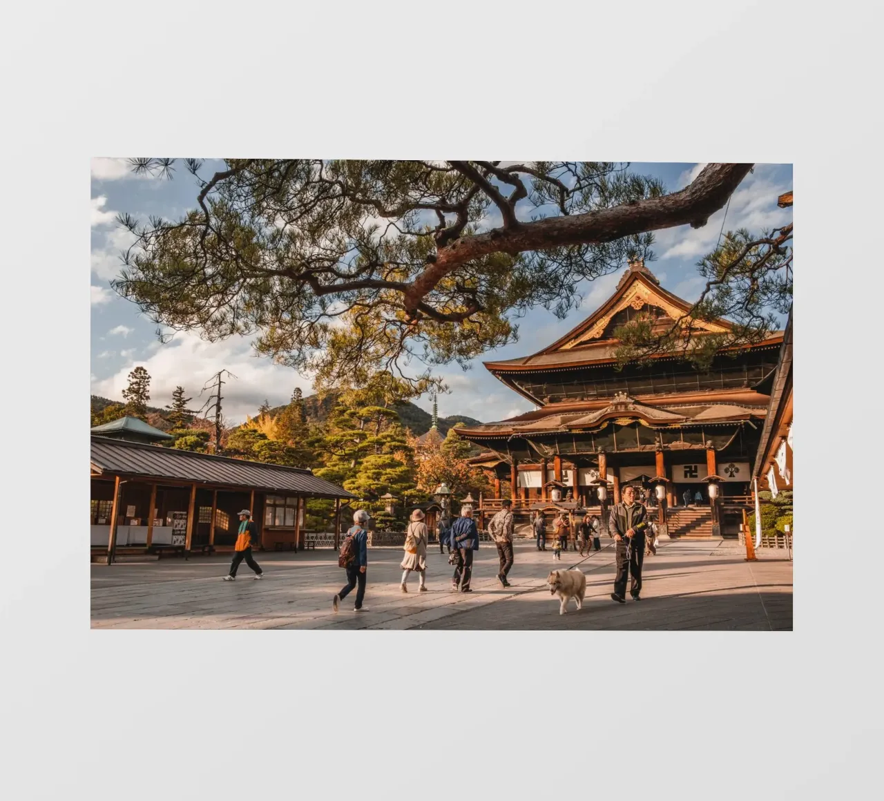 Tempio Zenkoji a Nagano, Giappone telo in pvc da Marcel Bisig