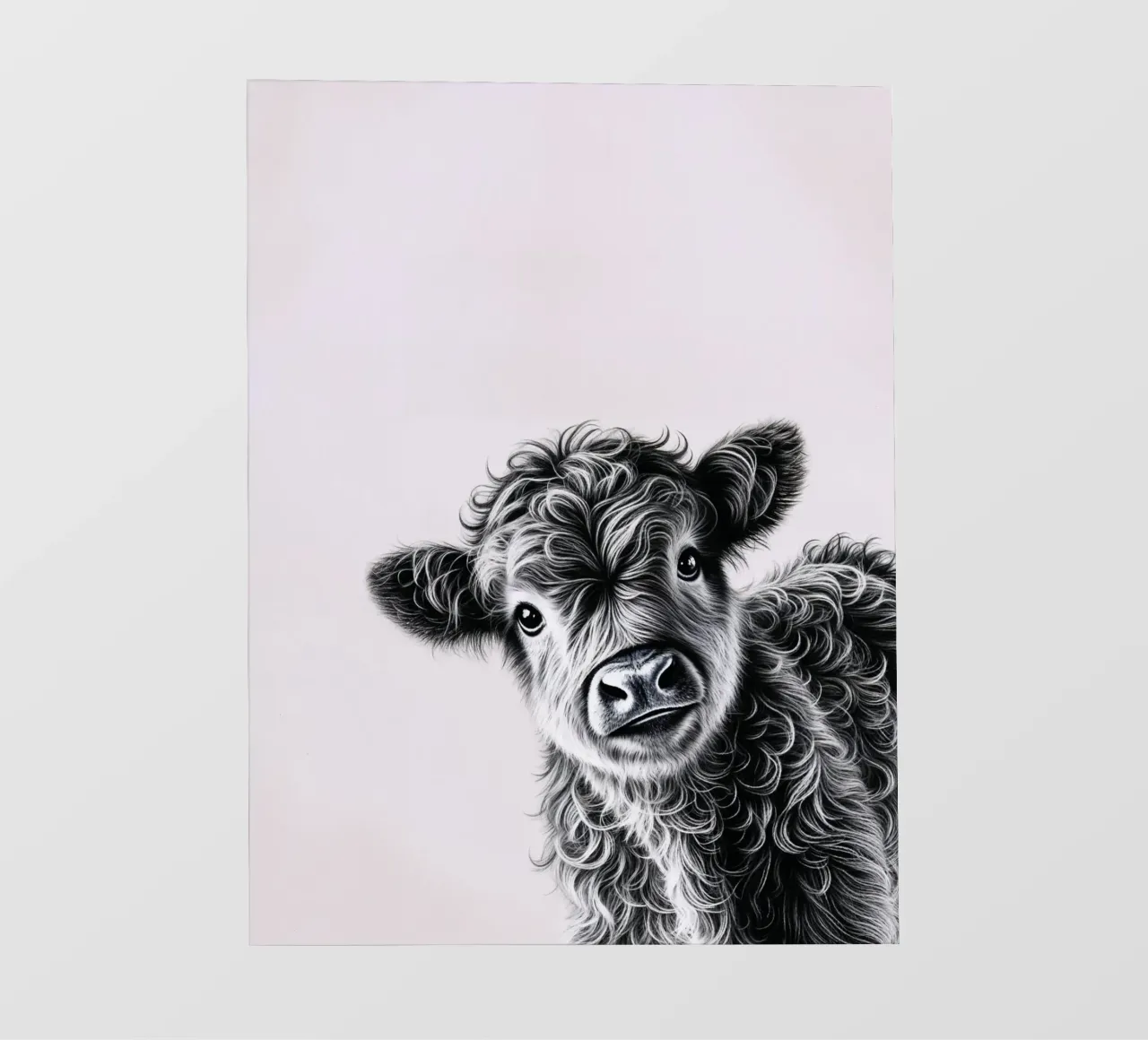 Baby mucca Highland impertinente pellicola backlit da SnoopyAnimals