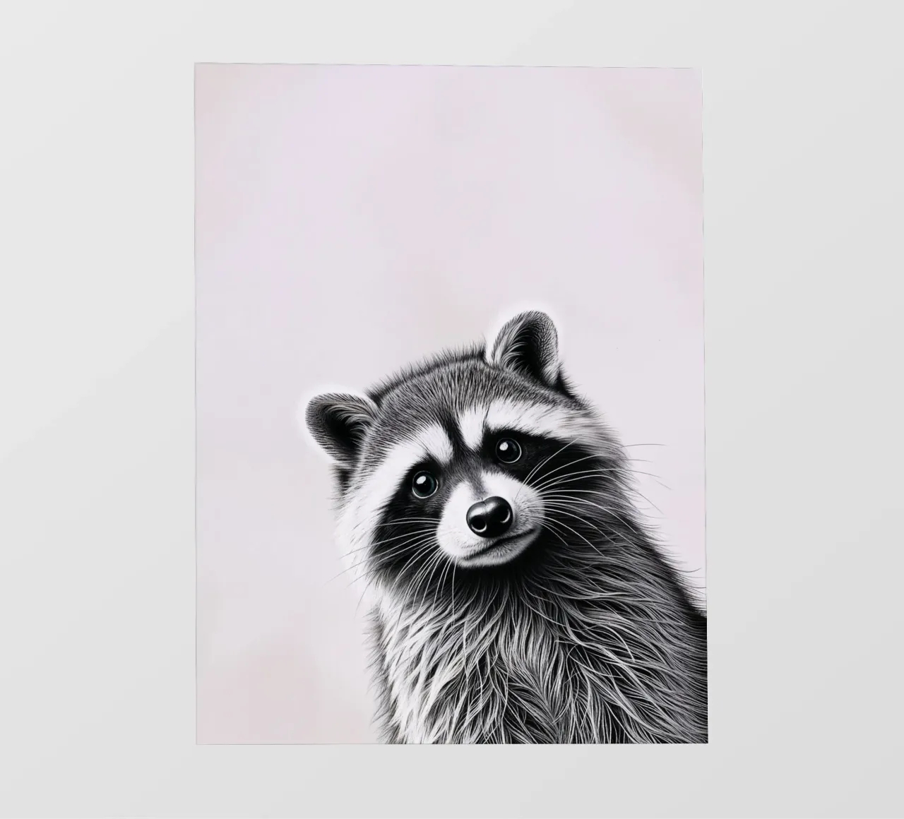 Procione impertinente pellicola backlit da SnoopyAnimals