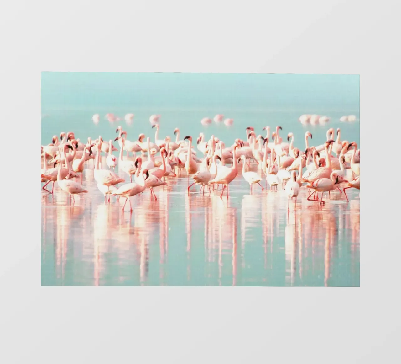 Print 172 telo in pvc da Lila & Lola