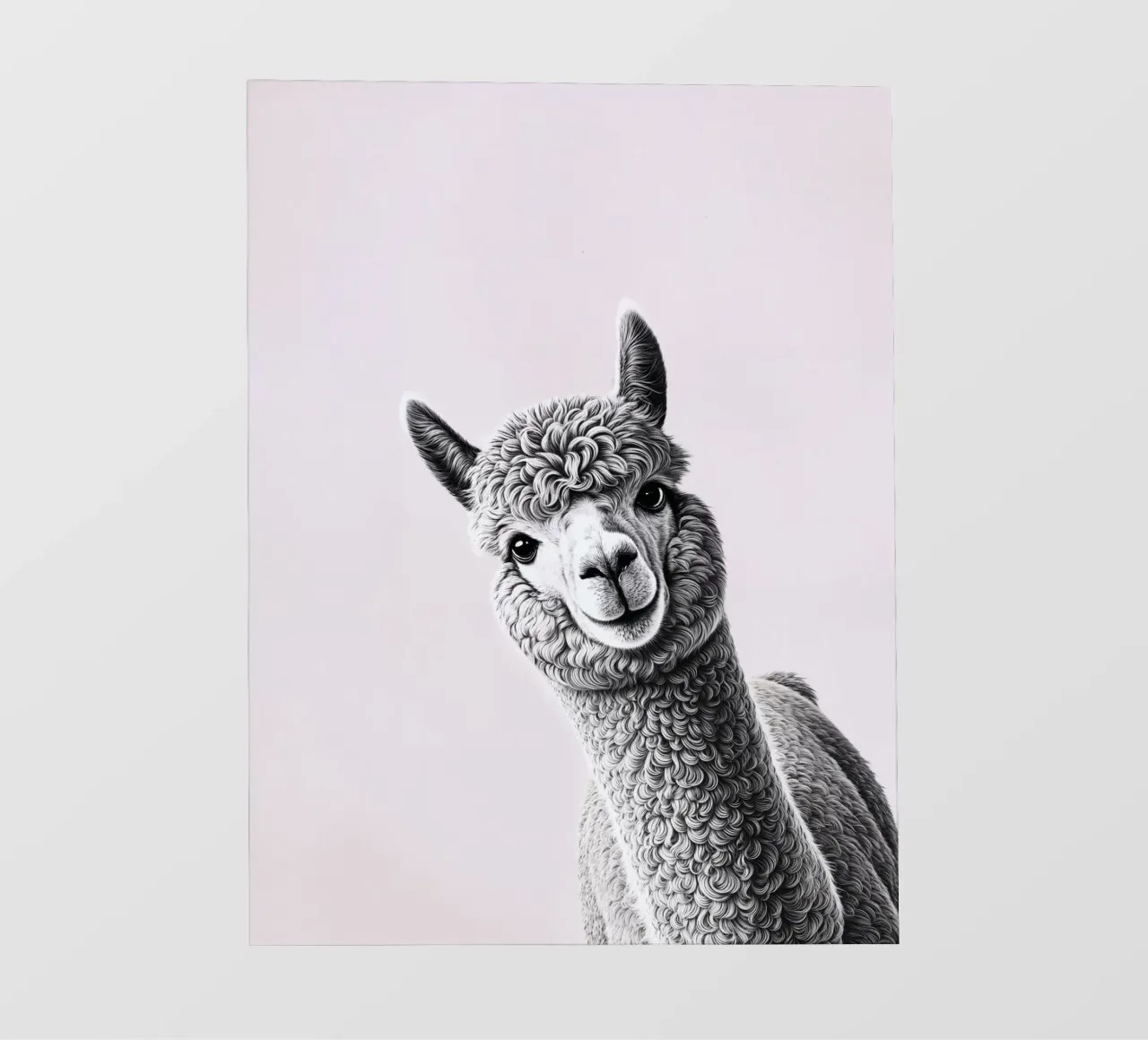 Lama impertinente pellicola backlit da SnoopyAnimals