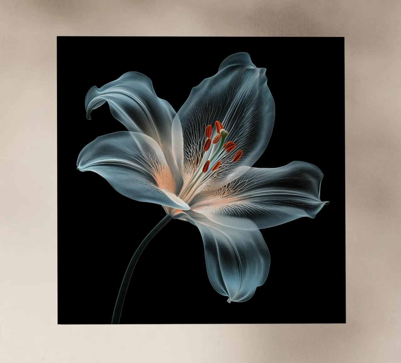 Fiore trasparente pellicola backlit da Imagine