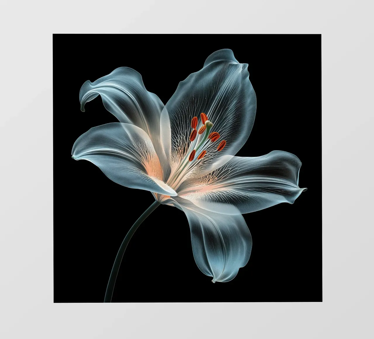 Fiore trasparente pellicola backlit da Imagine