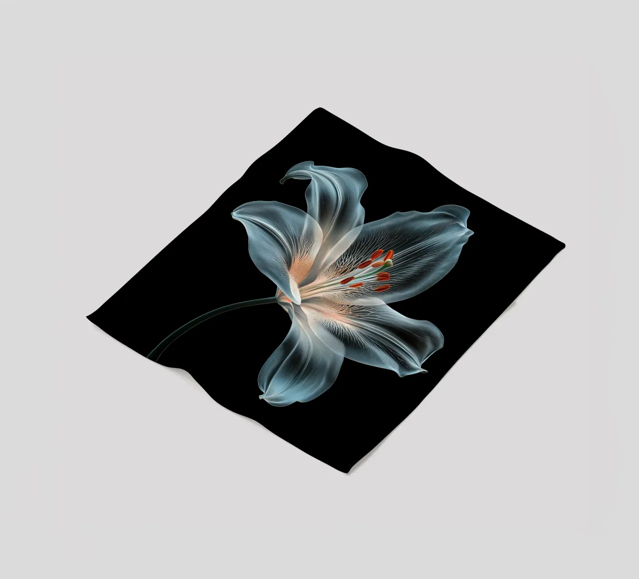 Fiore trasparente coperta in pile da Imagine