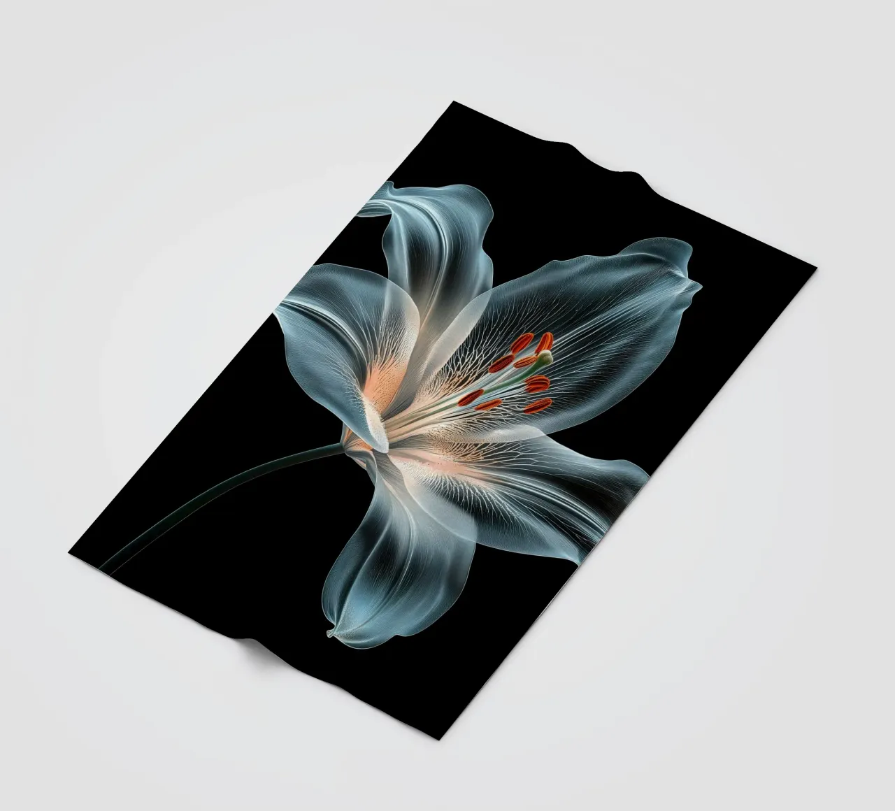Fiore trasparente coperta in pile da Imagine