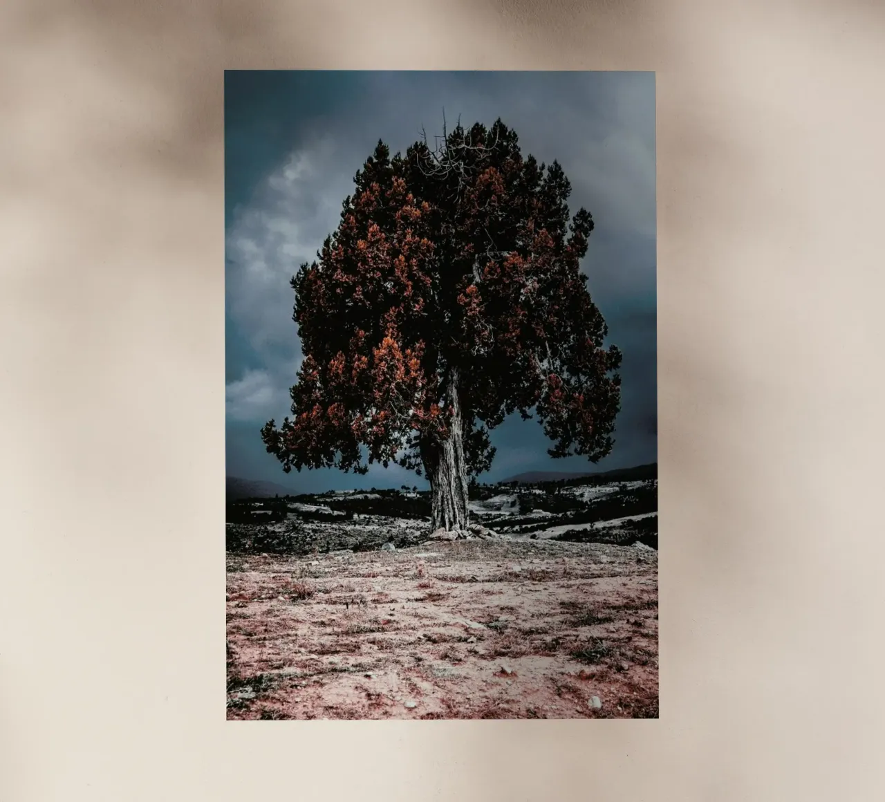 The Red Giant Tree pellicola backlit da Pale Grain