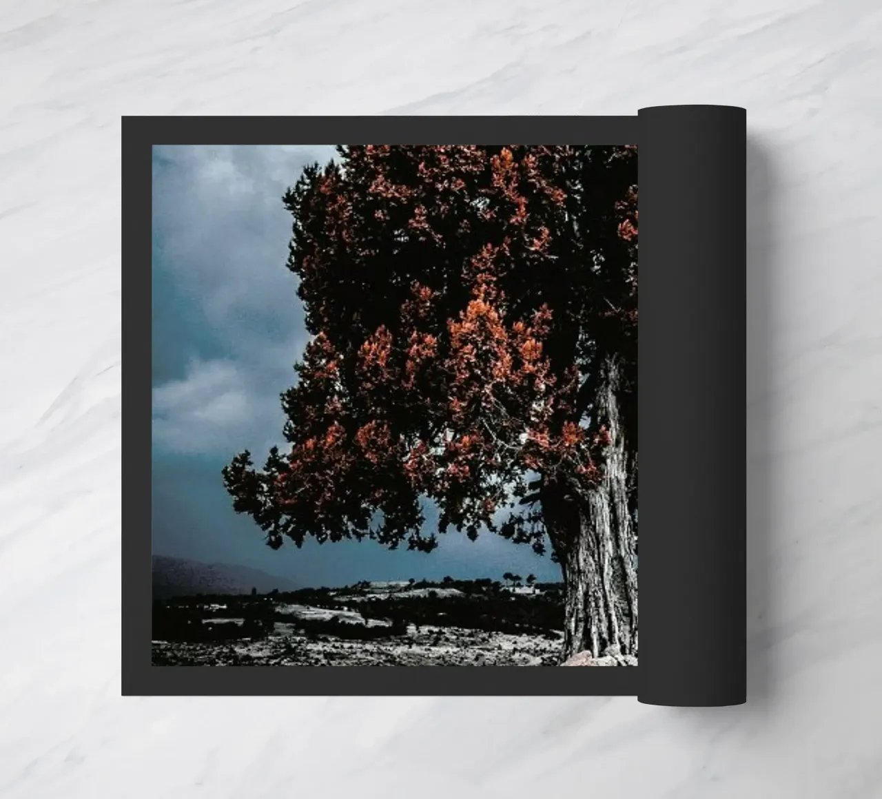 The Red Giant Tree zerbino da Pale Grain