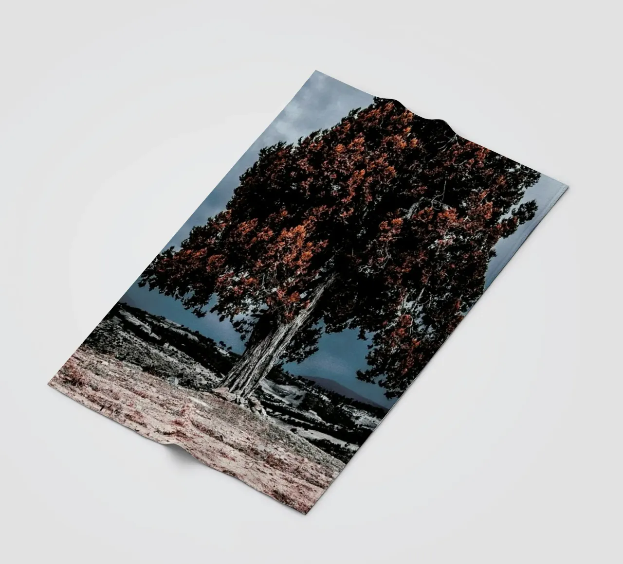 The Red Giant Tree coperta in pile da Pale Grain