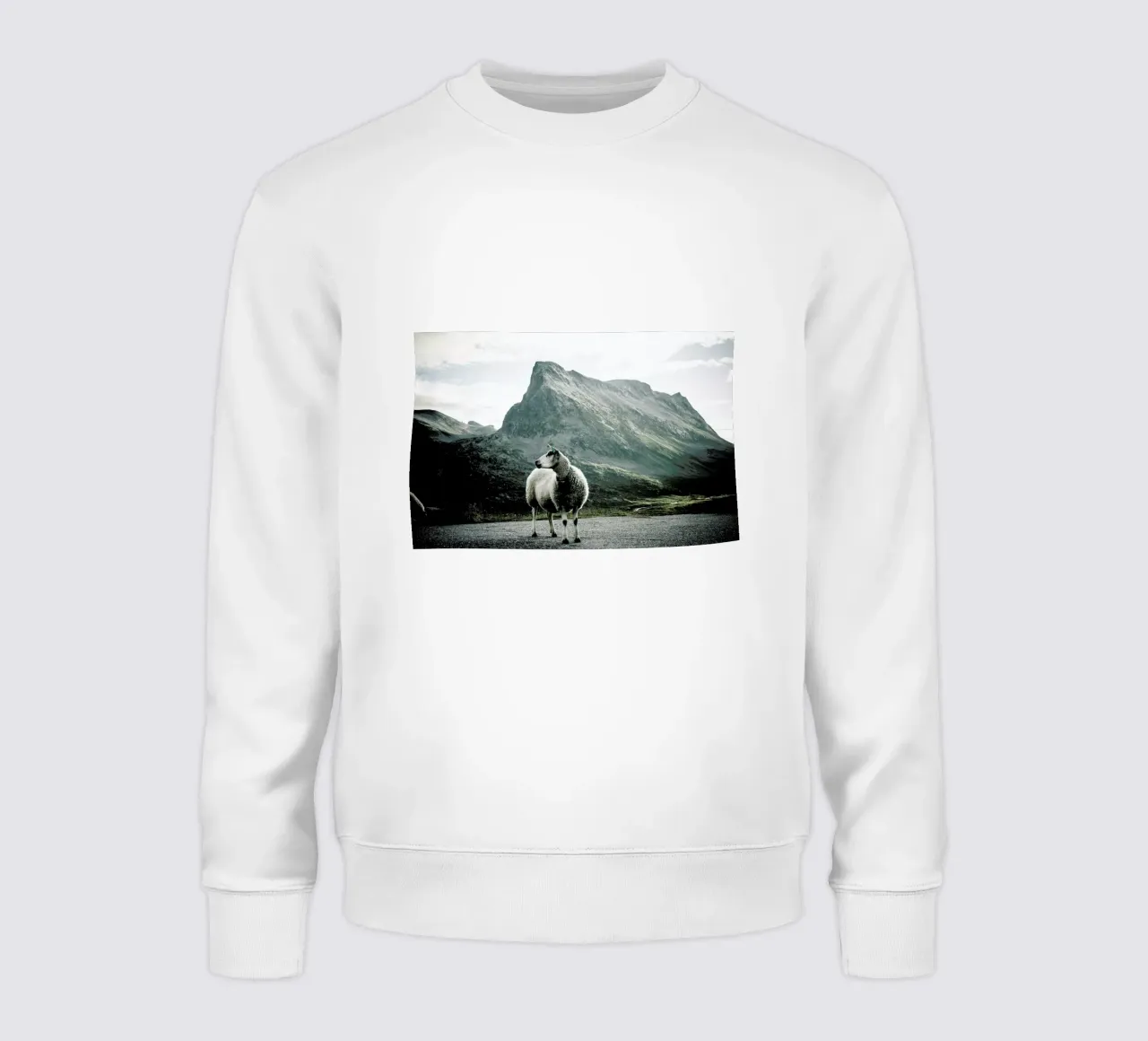 Sheep 1 sweatshirt van Chris Abatzis