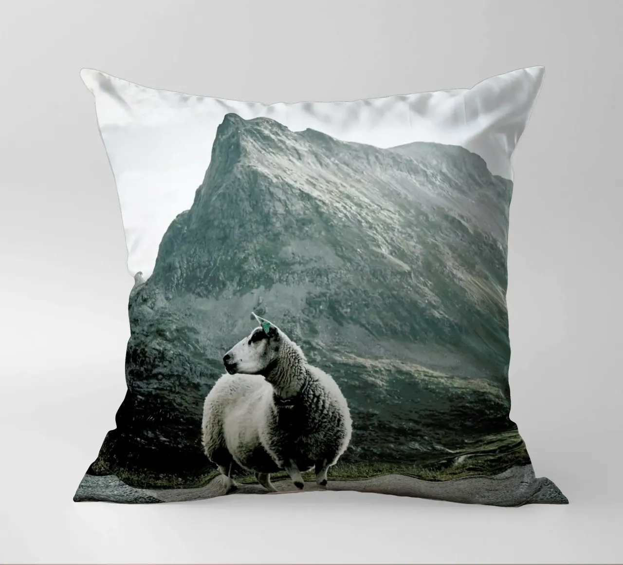 Sheep 1 cuscino da Chris Abatzis