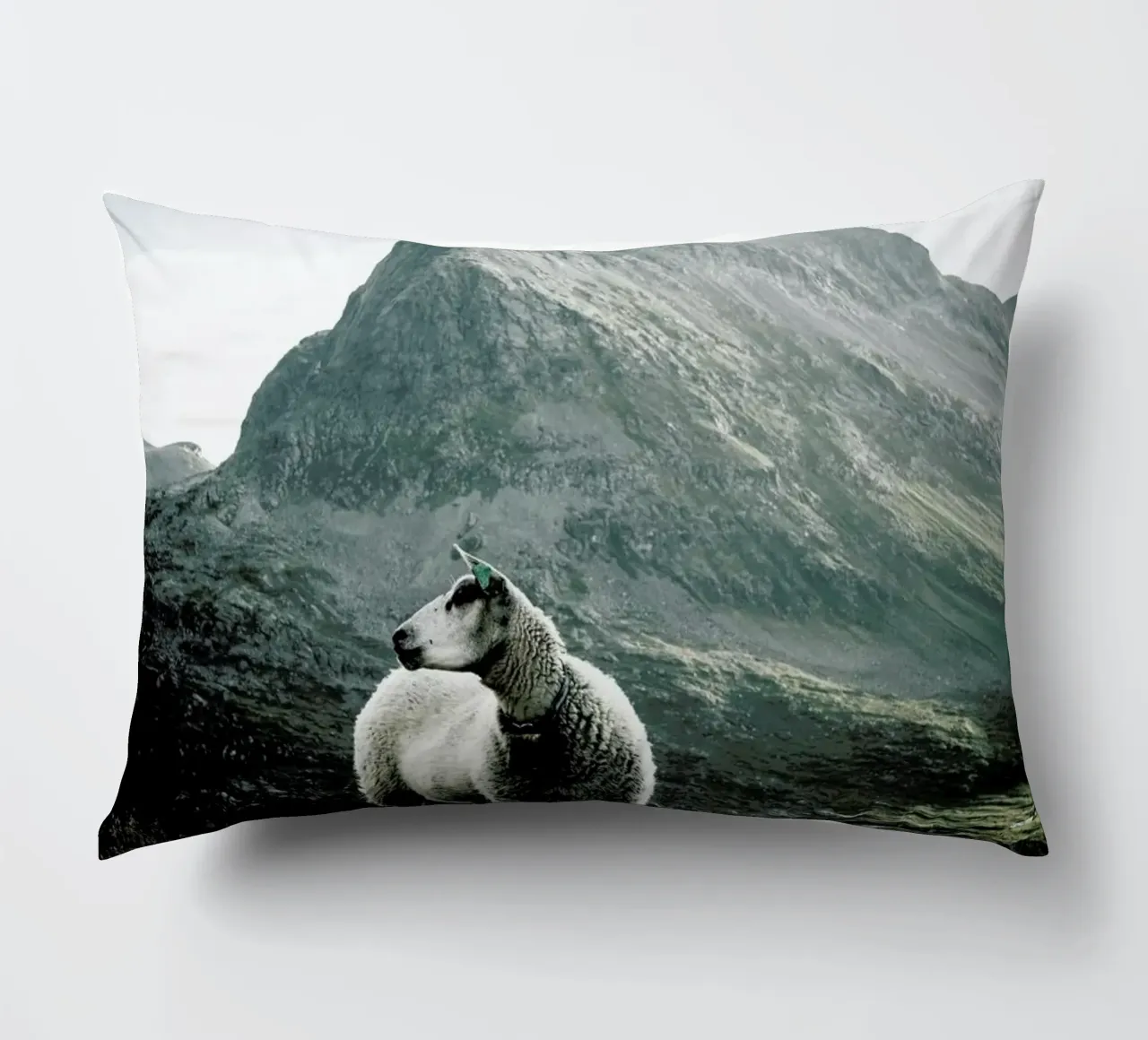 Sheep 1 cuscino da Chris Abatzis