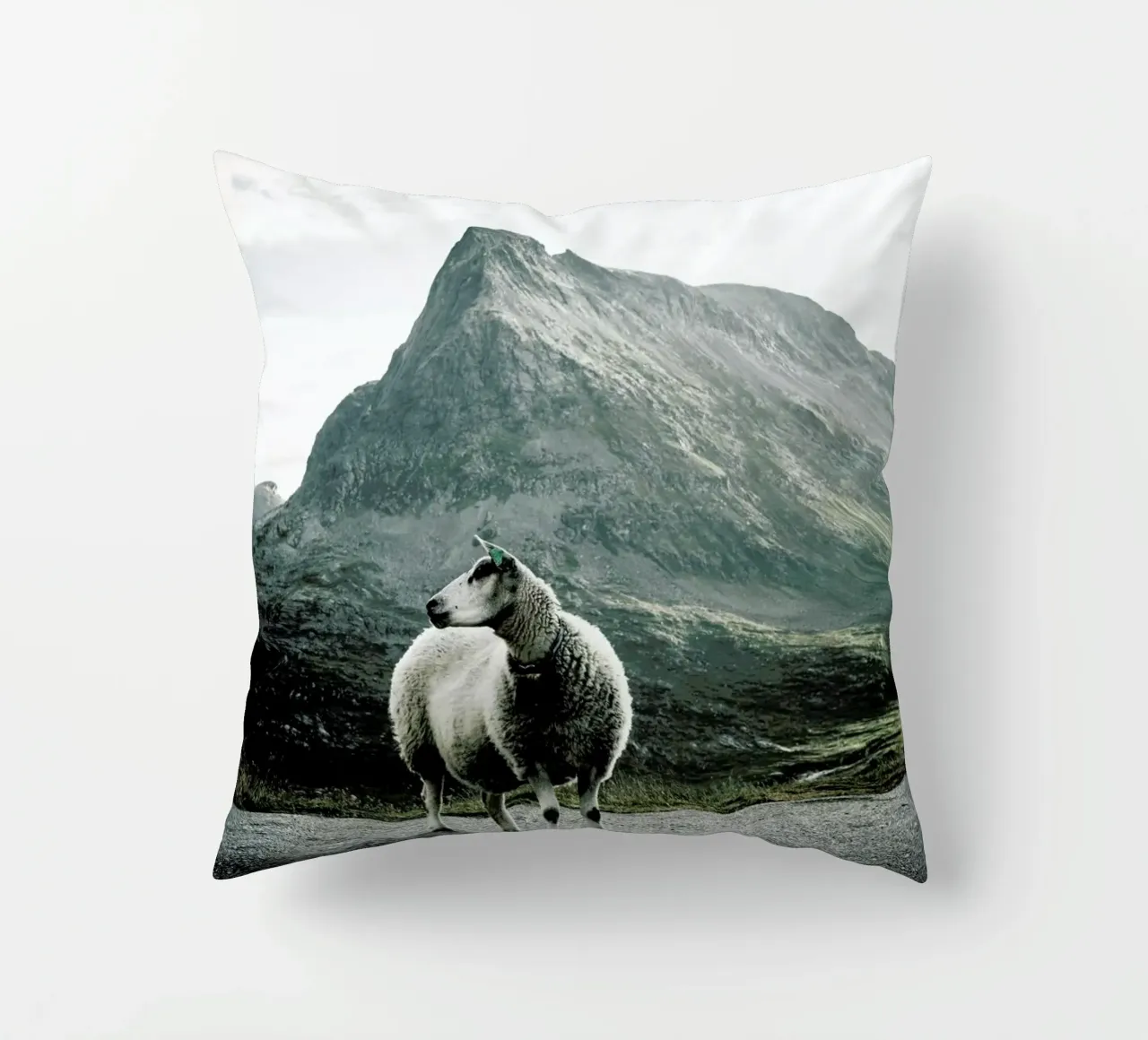 Sheep 1 cuscino da Chris Abatzis