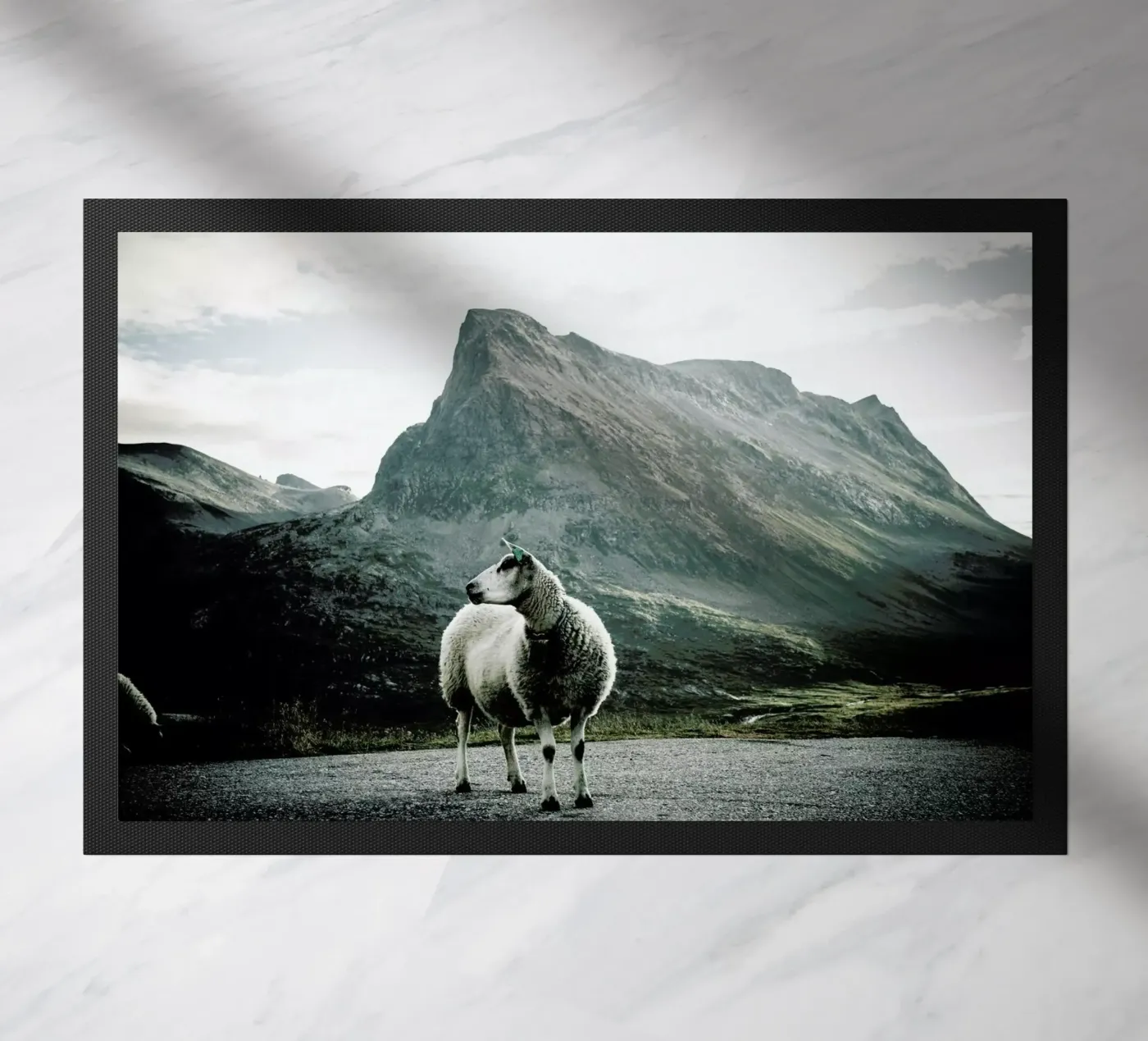 Sheep 1 zerbino da Chris Abatzis